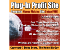 Unlock the power of passive income today!